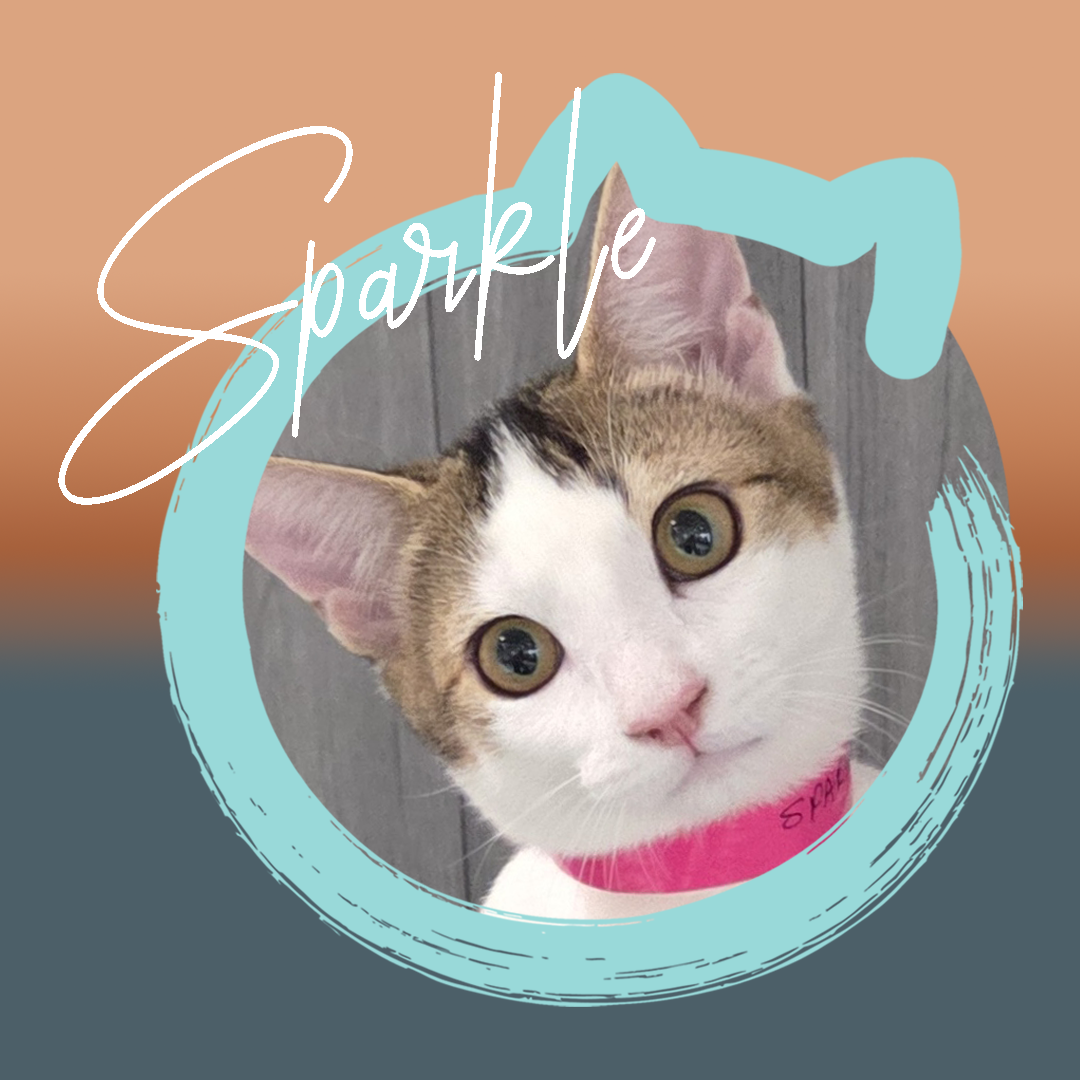 Sparkle — photo 1