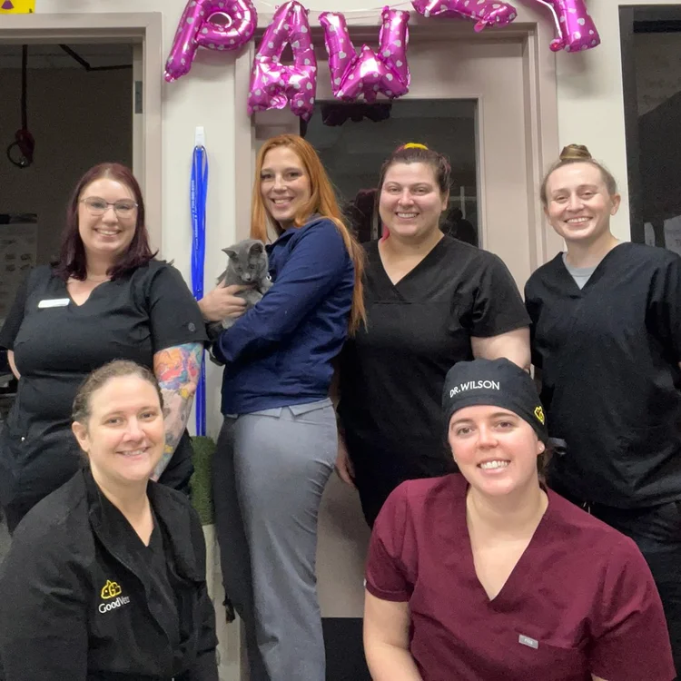 the staff at good vets